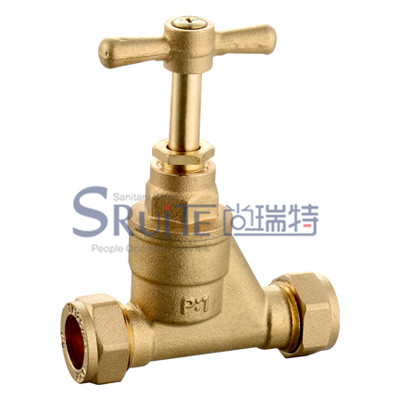 Check Valve  / SRT-4029